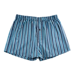 Pánské spodní prádlo